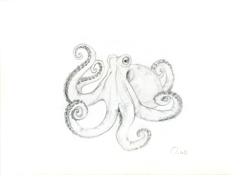 octo'étude